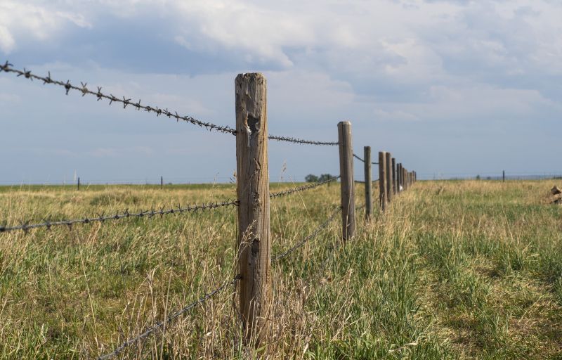 Barbed Wire Fence Service