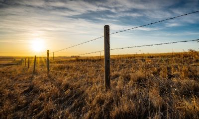 Repair Damages to Your Barbed Wire Fence!