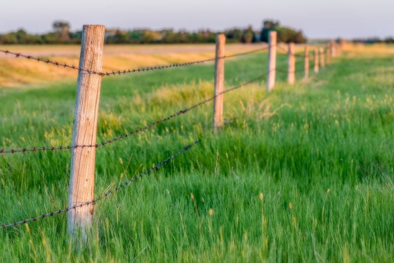 Barbed Wire Fence Service Options