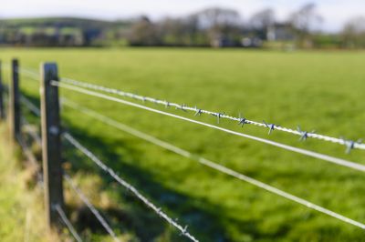 Barbed Wire Fence Installation and Repair Services