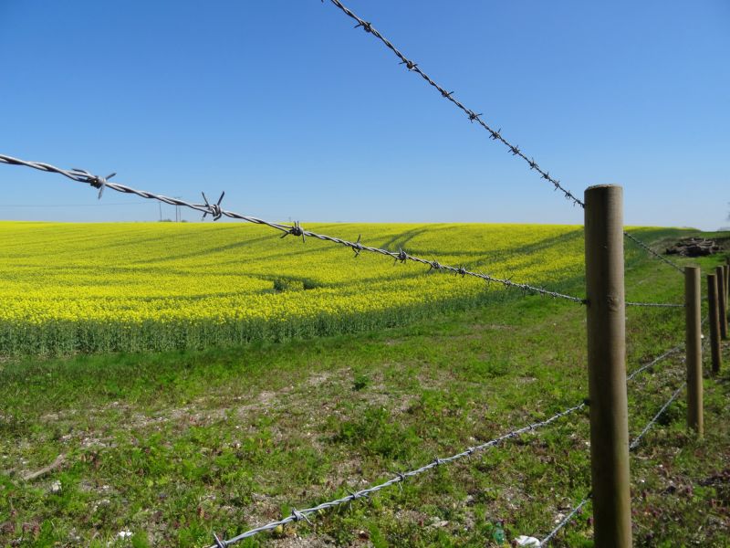 Barbed Wire Fence Service Promotions